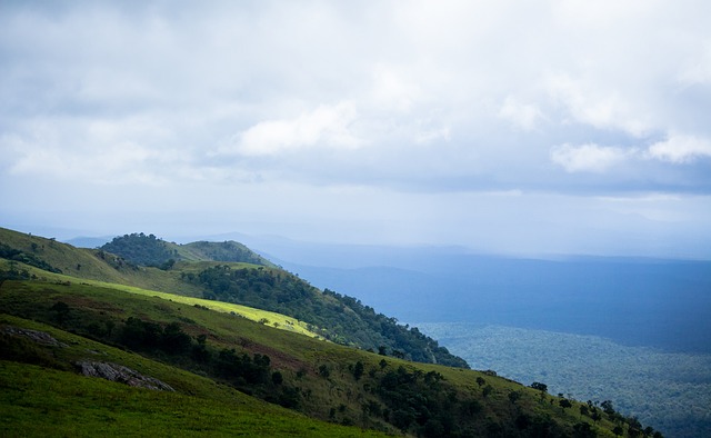 永远的黑豹，葡萄牙队正式发布致敬传奇尤西比奥的特别款球衣